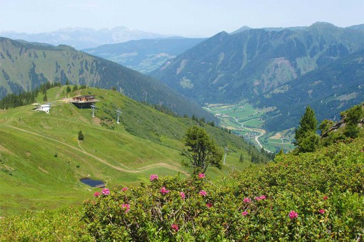 Sommerberg - Riesneralm - Donnersbachwald - Wandern